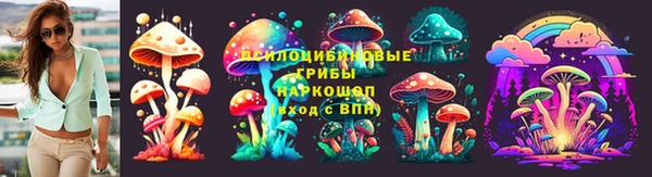apvp Новозыбков