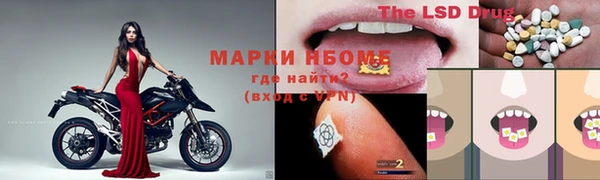спиды Гатчина