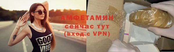 спиды Гатчина