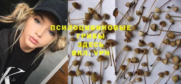 бошки Новодвинск