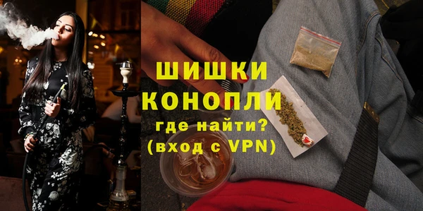 apvp Новозыбков
