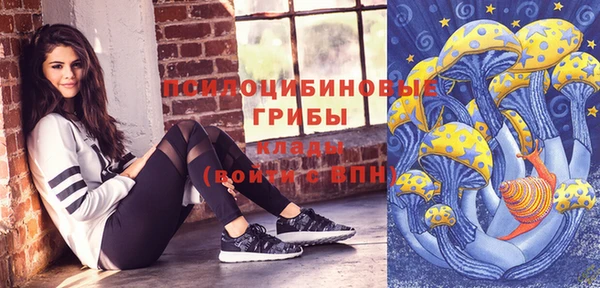эйфоретик Няндома