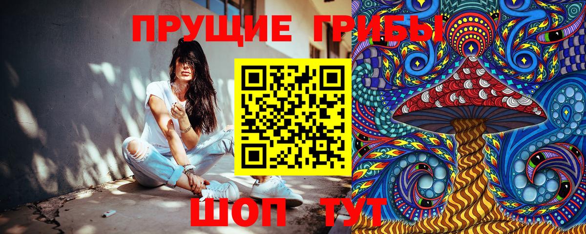 Псилоцибиновые грибы Cubensis Кохма