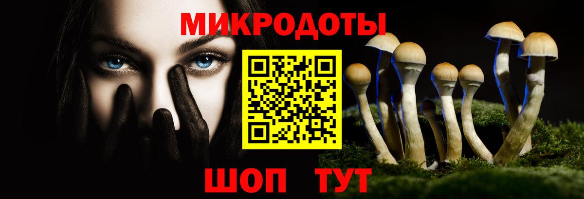 Псилоцибиновые грибы мухоморы  Кохма  Псилоцибиновые грибы Psilocybine cubensis 
