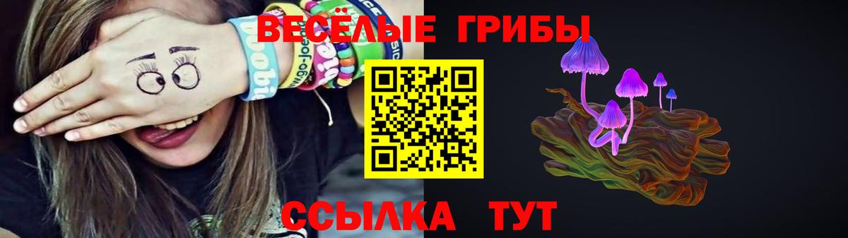 Галлюциногенные грибы Cubensis  Вход с VPN  Кохма 